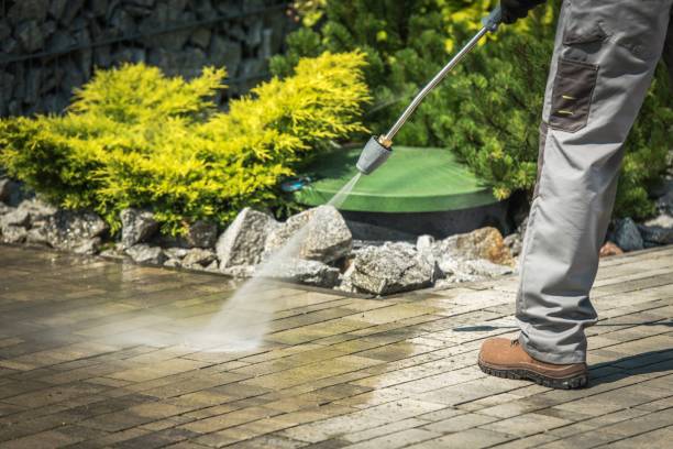 Best House Exterior Washing  in Palmer, AK